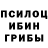Галлюциногенные грибы Psilocybe Ivan Suligoy