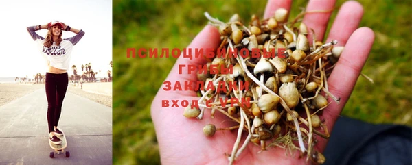 кокс Мегион