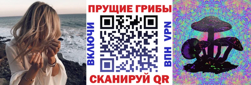 Галлюциногенные грибы Psilocybe  Купить где  Сокол 